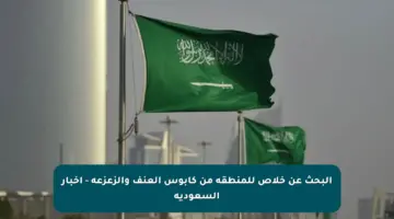 البحث عن خلاص للمنطقة من كابوس العنف والزعزعة – أخبار السعودية
